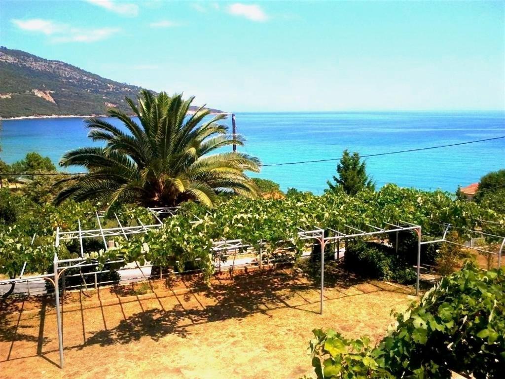 Hotel Kinira Exterior photo
